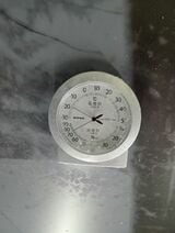 冷凍マグロの気持ちを完全に理解できた（著者撮影）