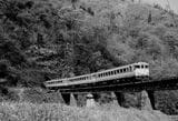 非電化時代の伯備線を走る急行「おき」（撮影：南正時）