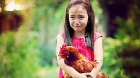 企業が｢自然エネルギー｣を無視すべきでないワケ(後編) 気候変動リスク回避､将来の先行投資として