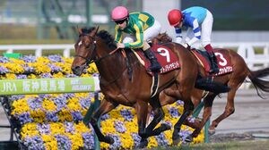 秋競馬､｢アーモンドアイ｣は牝馬3冠なるか 来週10月14日のGⅠ秋華