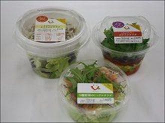 サークルＫサンクスが生野菜サラダ新商品を販売。自社ブランド構築に向け育成