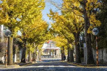 田園調布の住民が｢東横線の開業｣を恐れたワケ 阪急総帥はあきれ