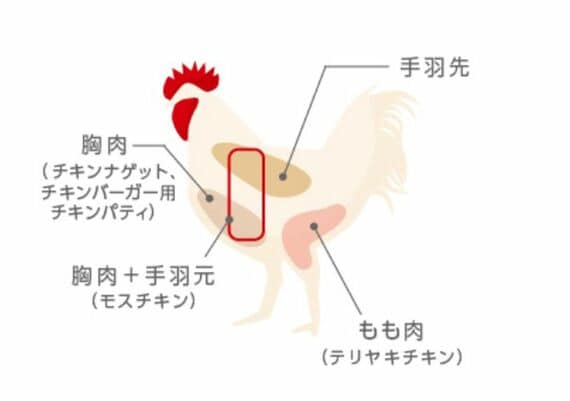 鶏の各部位