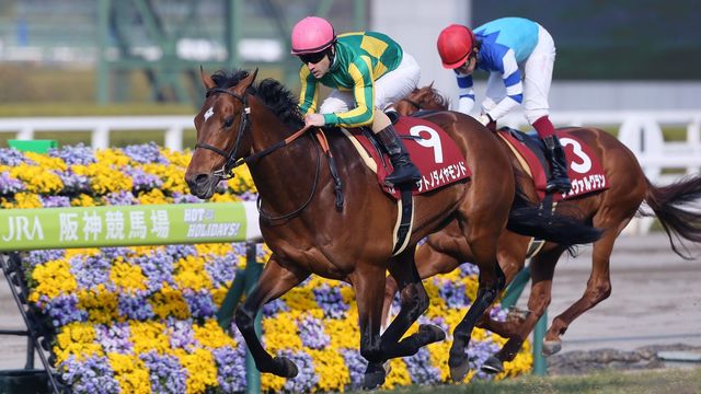 有馬記念 キタサンまつり 後も祭りがあった 今さら聞けない競馬のキホン 東洋経済オンライン 経済ニュースの新基準