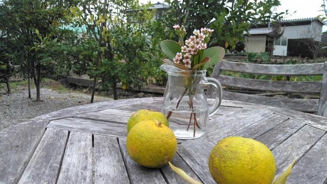 ｢ダンナを置いて1人で移住｣50代女子が暮らす島