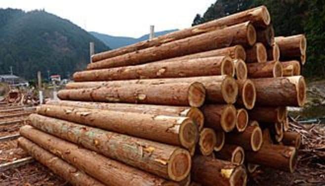 木材価格はなぜ昨年末に乱高下したのか