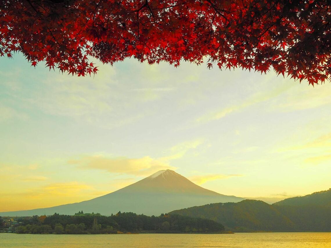 河口湖の湖畔から眺める富士山（写真：筆者撮影）