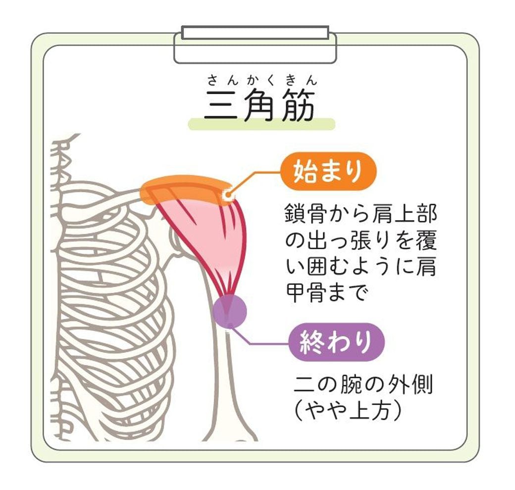 女性のための50歳からの筋トレ入門