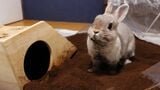 （写真：やすさん提供）