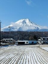 中国 インバウンド
