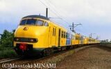 黄色地に斜めの青ラインを配したオランダ国鉄の電車（筆者撮影）