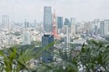 テラス席から望む東京タワー。位置関係が絶妙で根元まで見える（筆者撮影）