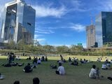 GRAND GREEN OSAKA内にある「うめきた公園」。広大な緑が広がり、コーナンの店舗が「緑」をテーマにするのもわかる（著者撮影）