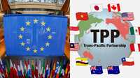 TPP加盟国と連携に舵を切るEUの勝算と落とし穴／11月のTPP閣僚会合にEU代表が出席／グローバルなルールメーカーと新興国の微妙な関係