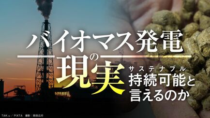 バイオマス発電の現実　持続可能と言えるのか