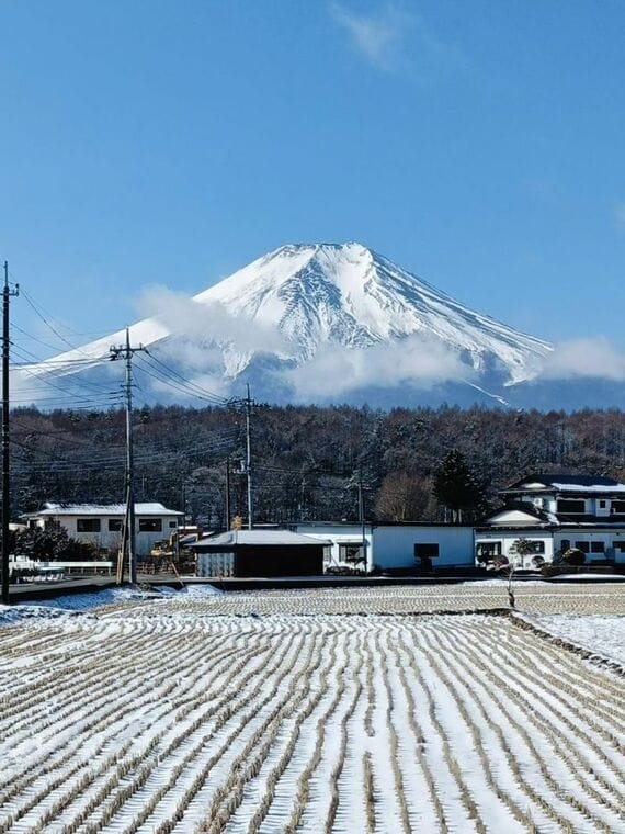 中国 インバウンド