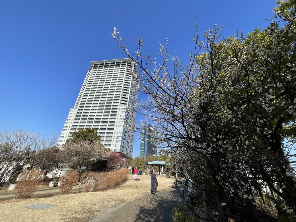 目黒天空庭園の風景