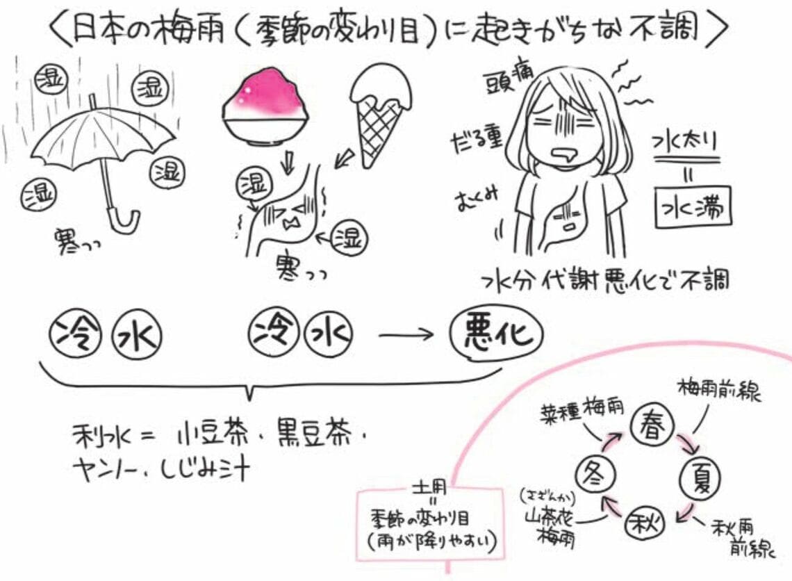 （出所：『自然やせ力 運動オタクが運動やめたらー10kg! やせ細胞を120%呼び覚ます養生』より）