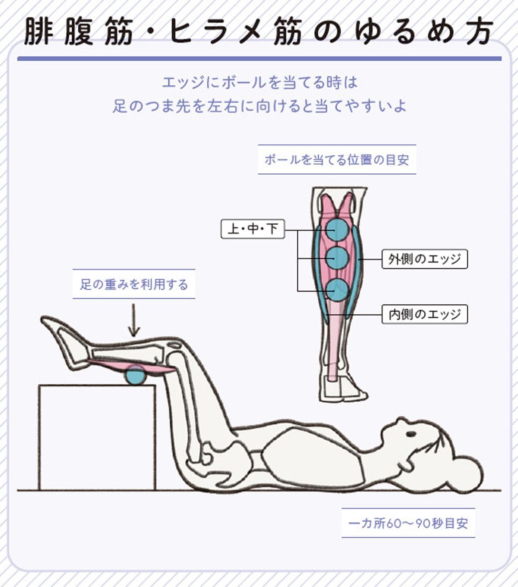 （画像：『世界一わかりやすい 筋肉のつながり図鑑セルフケア編』より）