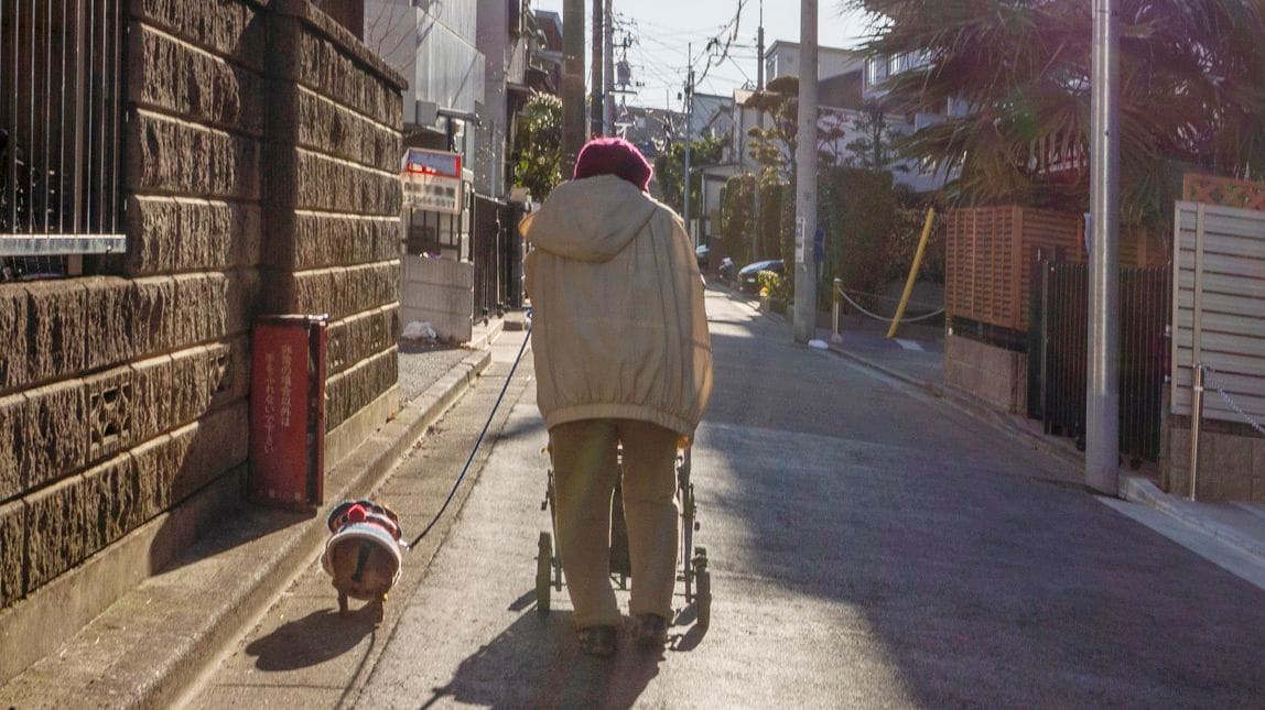 Older adults who live with dogs have lower dementia risk, study finds