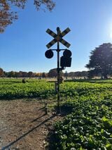 国営昭和記念公園