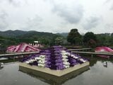 あしかがフラワーパーク