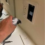 いたずらした犯人（キクノスケくん）の現場検証。いたずらされても危険がなければよし。（写真提供：カマタさん）