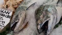 水産物の｢地産地消制度｣､消費者の利点は？ 米国で広がる加工･卸業者通さない流通手法