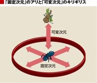 キリギリスは思考の自由度が高い 「固定次元」のアリから「可変次元」のキリギリスへ