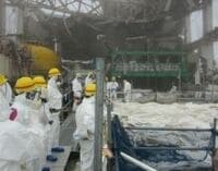 民主党のキーパーソンが語る原発安全対策「日米の大きな格差」