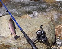 「釣女」「釣りガール」は本当に流行るのか？！《それゆけ！カナモリさん》