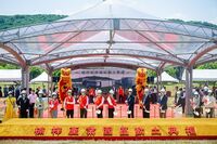 ｢地政学｣だけで説明できない台湾の半導体投資 投資決定の要因は多岐にわたるとの認識が必要