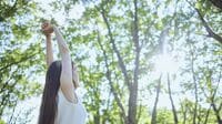 森にいるだけで免疫が強化される…？　｢森林浴｣がもたらす驚異的な効果　｢抗がんタンパク質｣が48％増加した例も