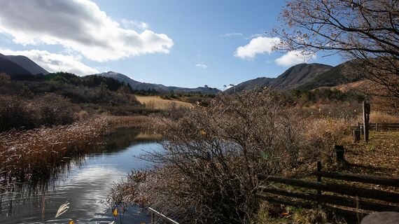 トライアルの温泉宿からの眺め