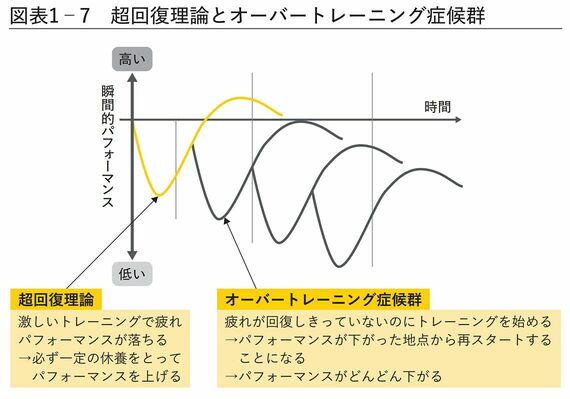 超回復理論とオーバートレーニング症候群