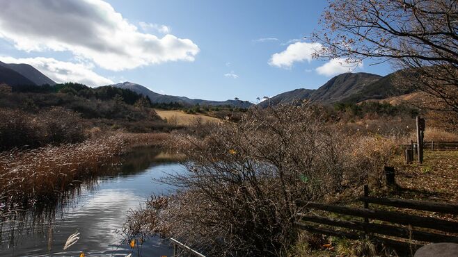 トライアル｢一泊2980円｣宿を手掛けた意外な訳