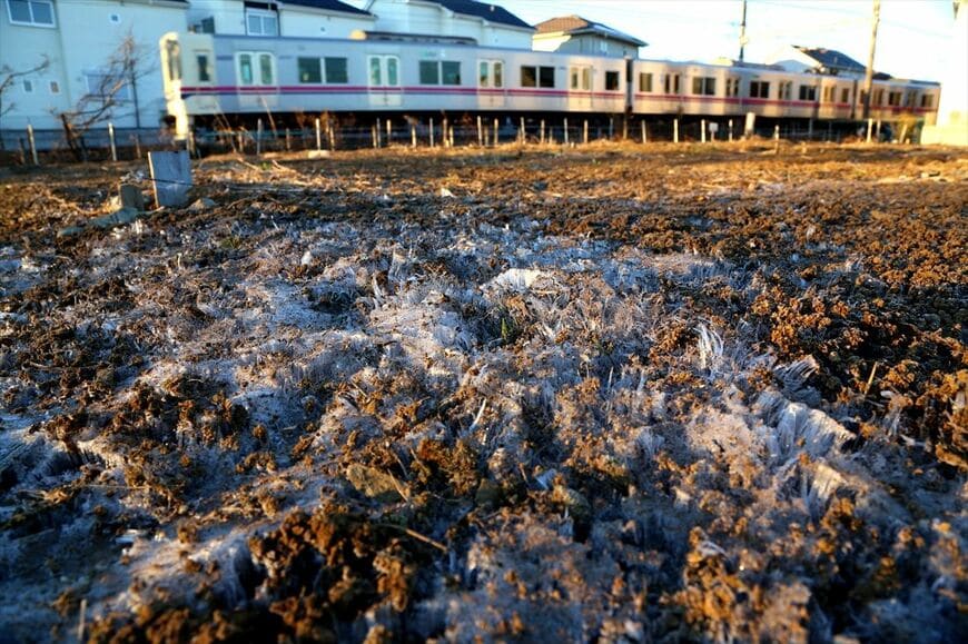 冬、早朝の百草園付近。畑の霜柱と9000系（撮影：南正時）