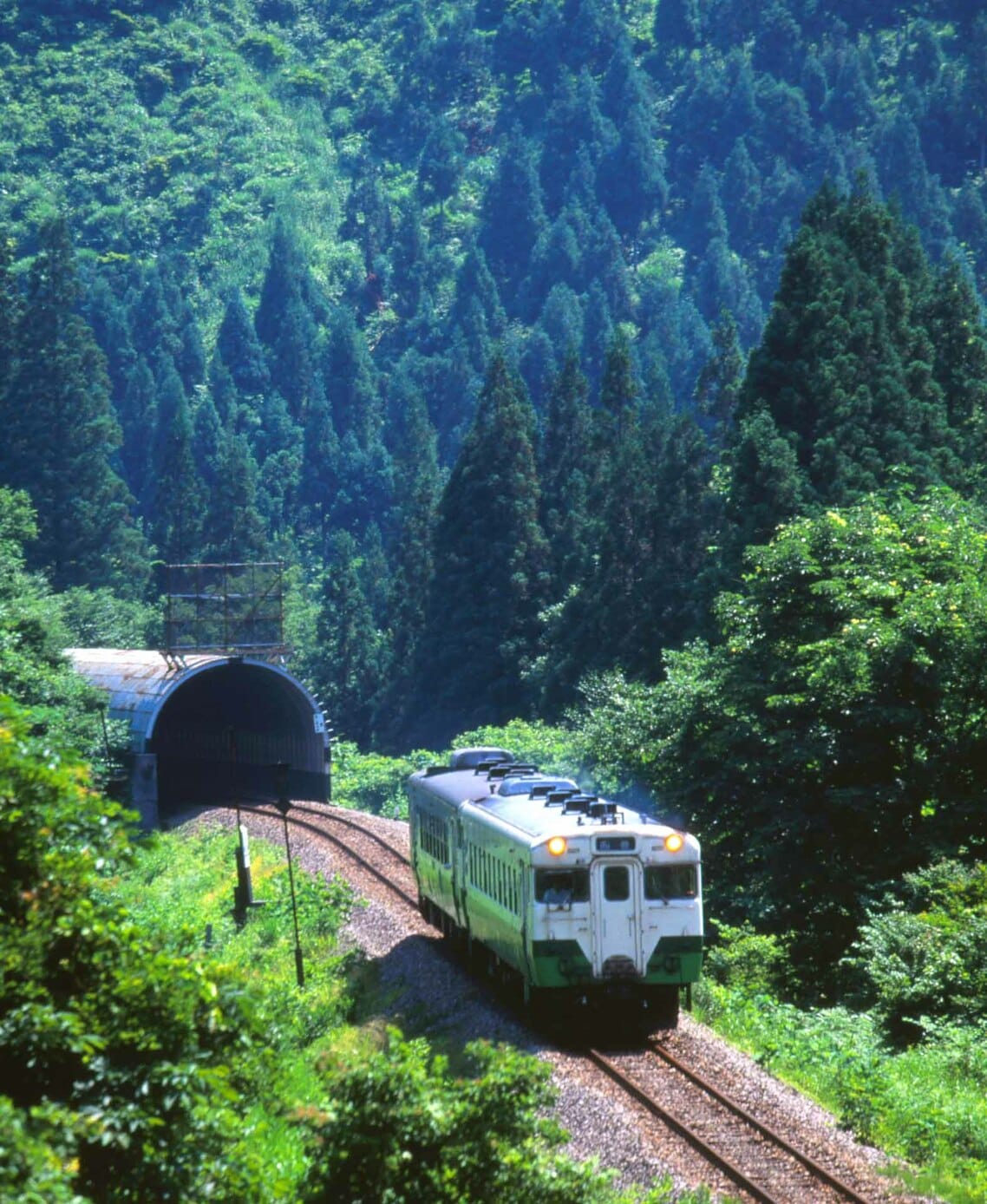 田子倉から大白川へ向かう列車