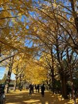 国営昭和記念公園