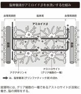 （本書より引用）