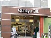オダキューOXの挑戦「鮮魚をその場で焼いて売る」《それゆけ！カナモリさん》