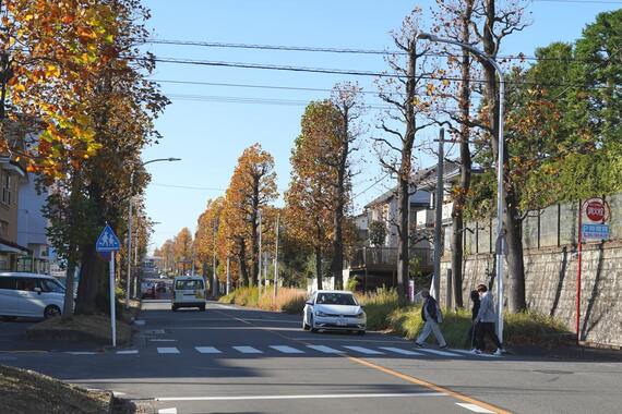 美しが丘の街並み