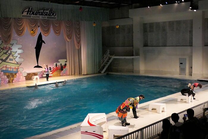 いるか・あしかパフォーマンス