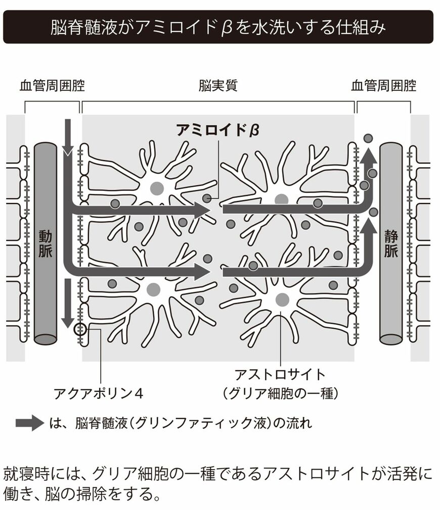 （本書より引用）