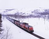 雪景色の函館本線黒松内付近を走るDD51形重連牽引の急行「ニセコ」。前照灯をボンネット上に増設した「三つ目」が先頭に立つ（撮影：南正時）