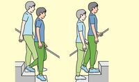 これで下半身がスッキリ｢階段の上り方･下り方｣ 筋肉だけでなく骨の健康維持にもいいらしい