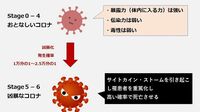 新型コロナ､日本で重症化率･死亡率が低いワケ 高橋泰教授が｢感染7段階モデル｣で見える化