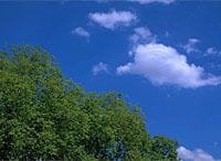 《MRI環境講座》第1回　地球温暖化が問いかける“環境問題”の意味