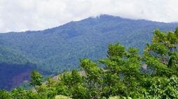 インドネシアで森林をめぐる紛争が多発､日本企業は森林開発よりも森林保護に重点を─同国の国家人権委員会委員に聞く