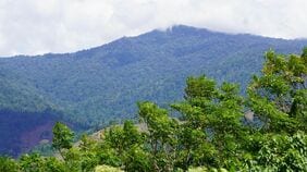 インドネシアで森林をめぐる紛争が多発､日本企業は森林開発よりも森林保護に重点を─同国の国家人権委員会委員に聞く